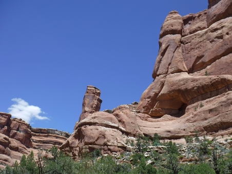 Enlarge photo 53