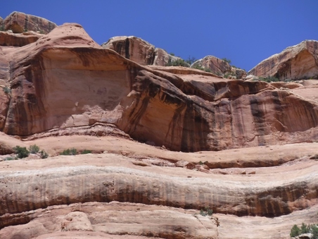 Enlarge photo 81