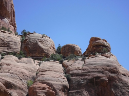 Enlarge photo 82