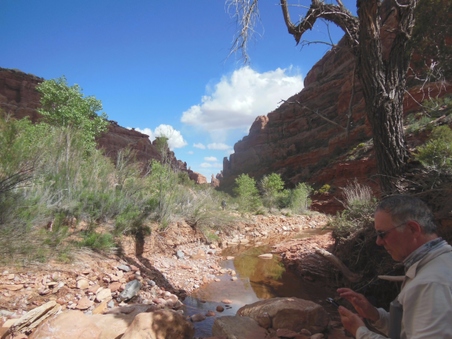 Enlarge photo 103