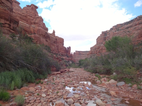 Enlarge photo 108