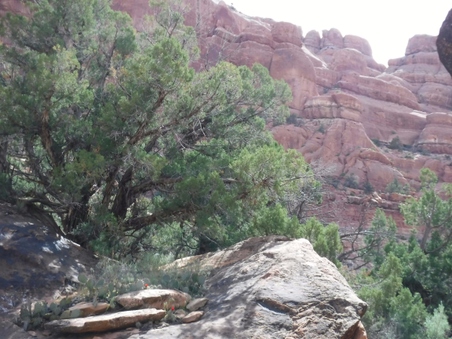 Enlarge photo 2