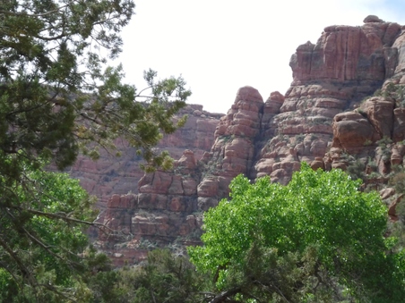 Enlarge photo 3