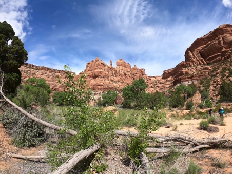 Enlarge photo 29