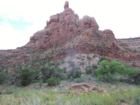 Enlarge photo 23