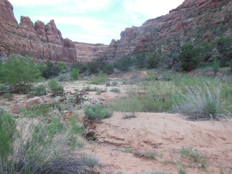 Enlarge photo 24