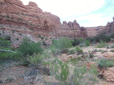 Enlarge photo 25
