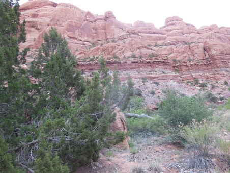 Enlarge photo 26