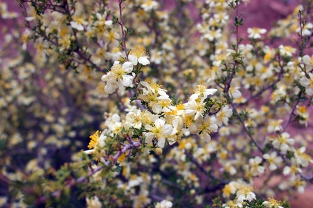 Enlarge photo 39