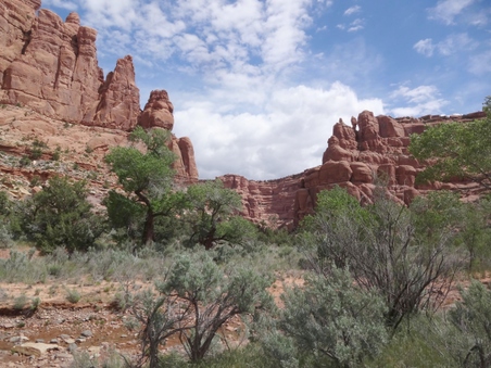 Enlarge photo 41
