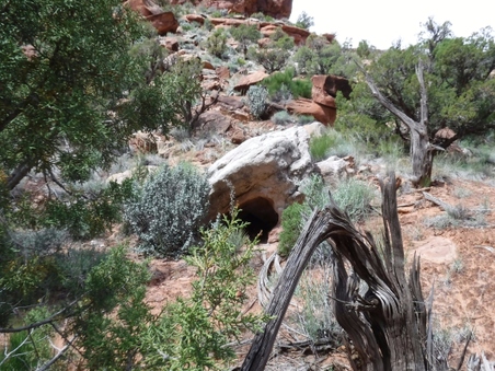 Enlarge photo 46