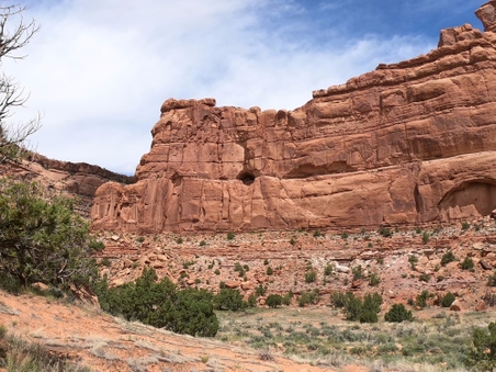 Enlarge photo 47