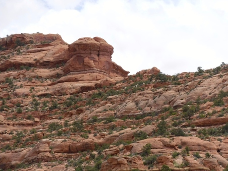 Enlarge photo 79