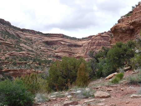 Enlarge photo 81