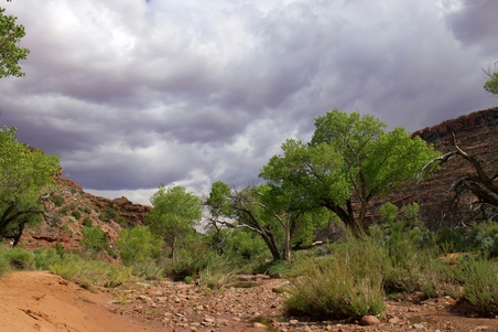 Enlarge photo 106