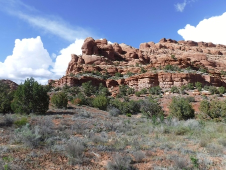 Enlarge photo 122
