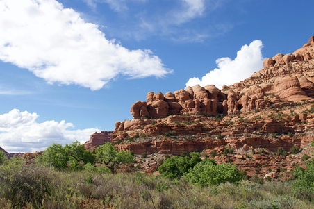 Enlarge photo 120