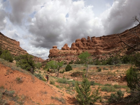 Enlarge photo 22