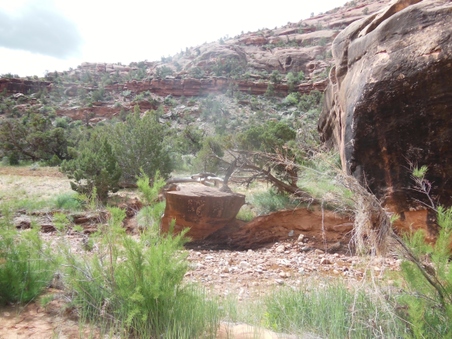 Enlarge photo 26