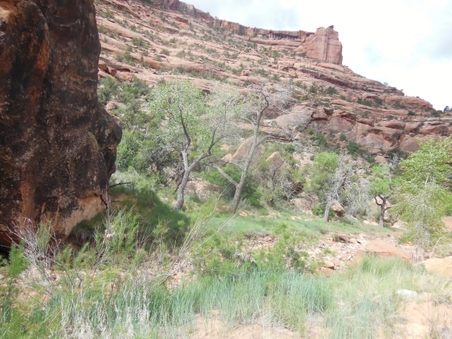 Enlarge photo 29