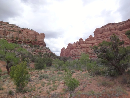 Enlarge photo 31