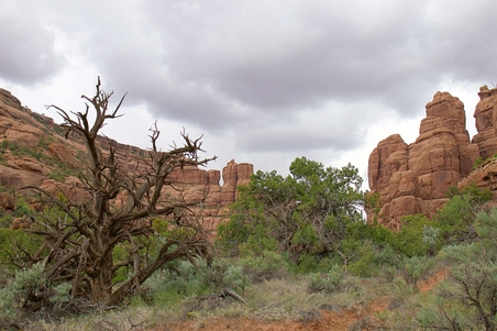 Enlarge photo 37