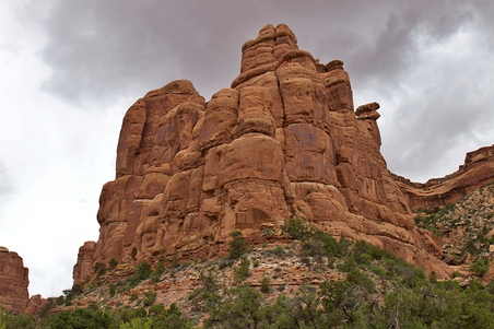 Enlarge photo 41
