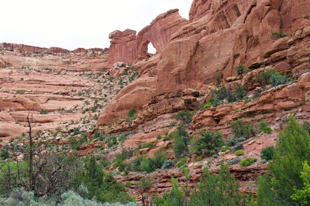 Enlarge photo 51
