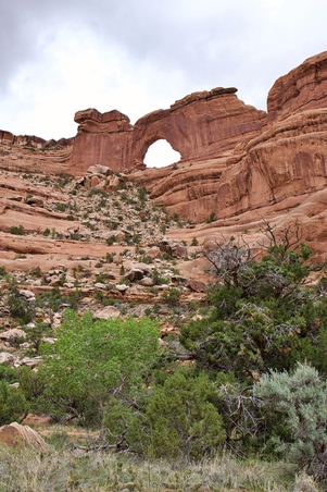 Enlarge photo 57