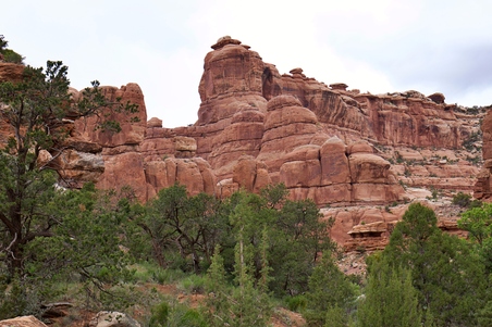 Enlarge photo 71