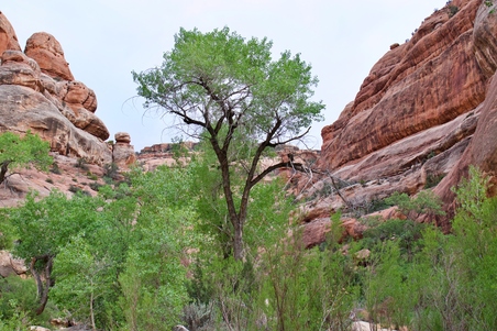 Enlarge photo 73
