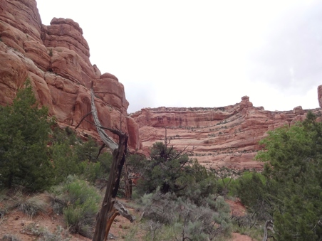 Enlarge photo 80