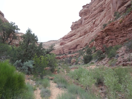 Enlarge photo 83