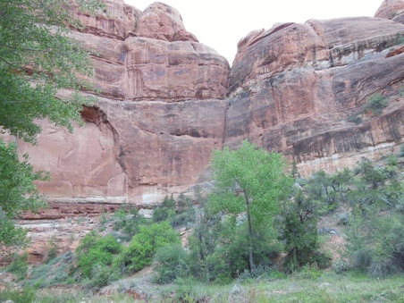 Enlarge photo 97