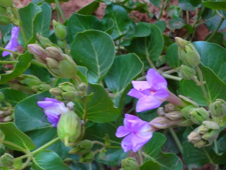 Enlarge photo 107