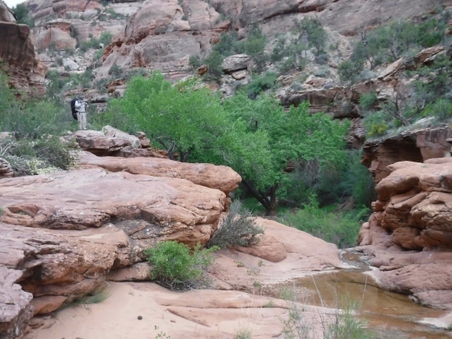 Enlarge photo 111