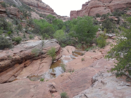 Enlarge photo 115