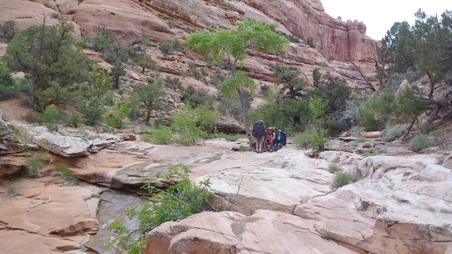 Enlarge photo 117