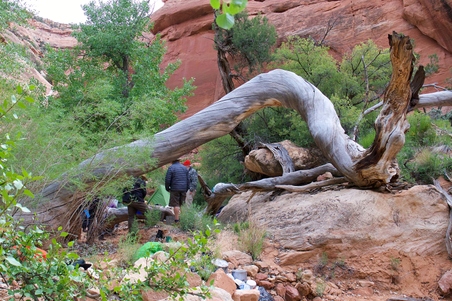 Enlarge photo 134