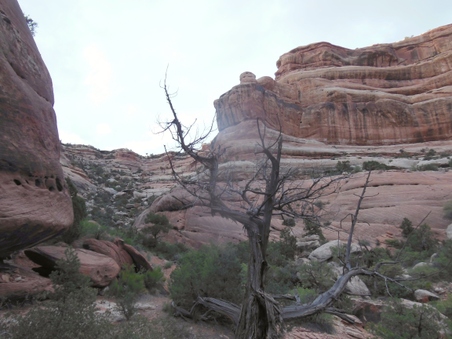 Enlarge photo 152