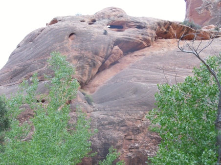 Enlarge photo 154