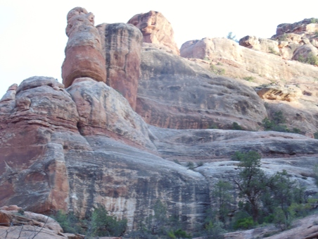 Enlarge photo 157