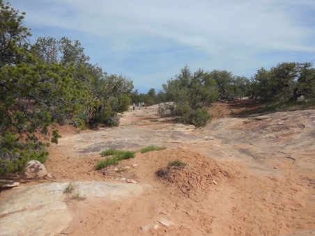 Enlarge photo 19
