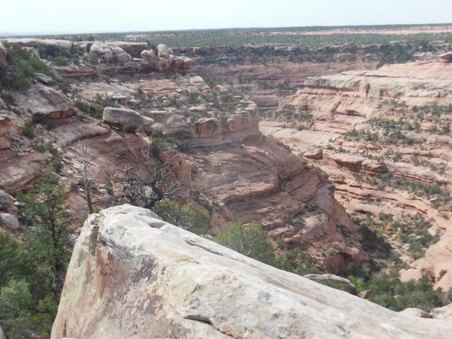 Enlarge photo 28