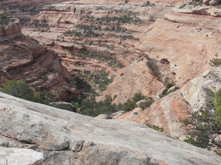 Enlarge photo 29