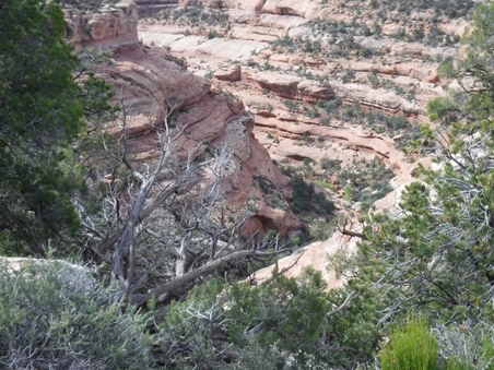Enlarge photo 31