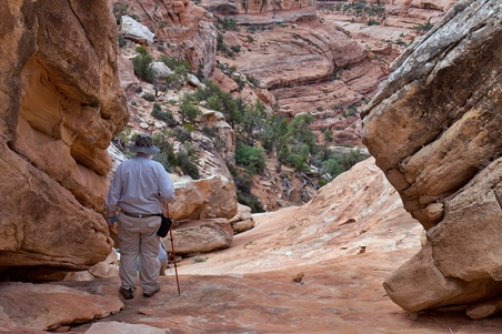 Enlarge photo 43