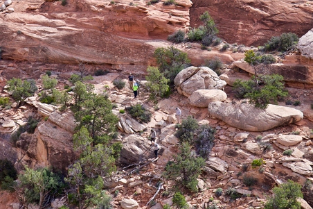 Enlarge photo 49