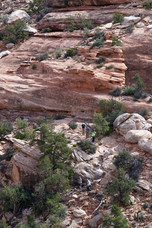 Enlarge photo 50