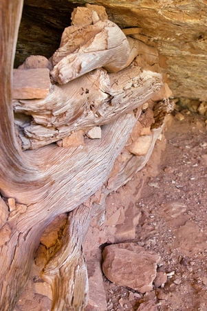 Enlarge photo 98